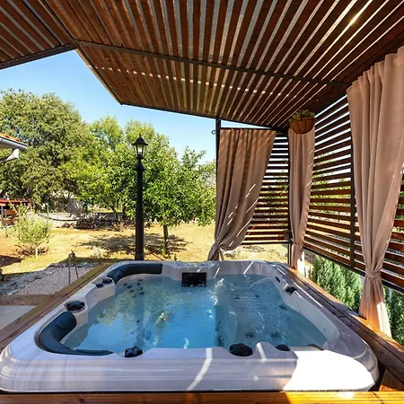 My Dalmatia - Authentic Stone House Dida Holiday home Radonic