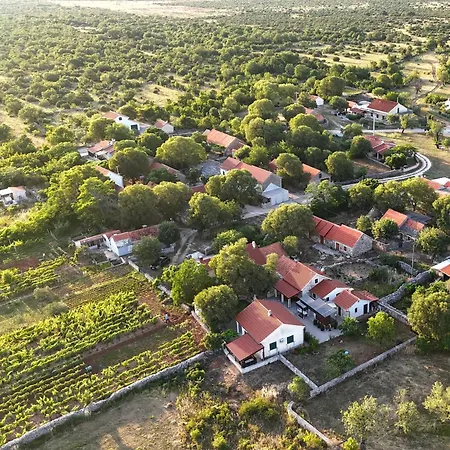 My Dalmatia - Authentic Stone House Dida Holiday home